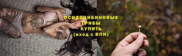 СК Белокуриха