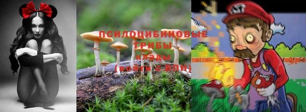 ГАЛЛЮЦИНОГЕННЫЕ ГРИБЫ Баксан