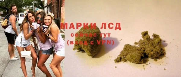 ГАЛЛЮЦИНОГЕННЫЕ ГРИБЫ Баксан